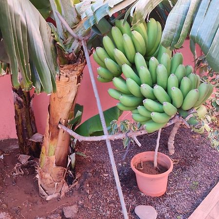 Casita La Gomera San Sebastián de la Gomera Dış mekan fotoğraf