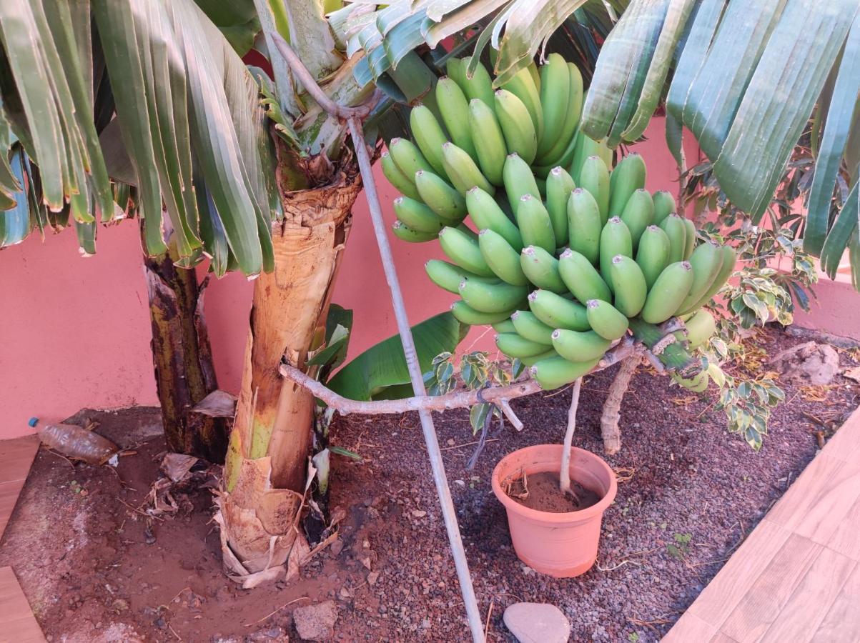 Casita La Gomera San Sebastián de la Gomera Dış mekan fotoğraf